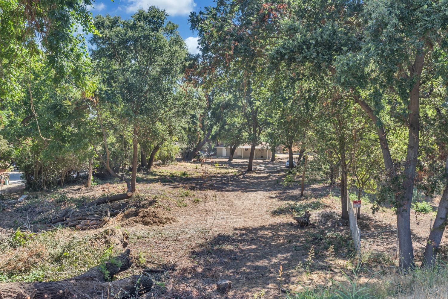 5720 Riverside Boulevard Sacramento, CA 95822 - Photo 18 of 54 a view of a tree with a yard