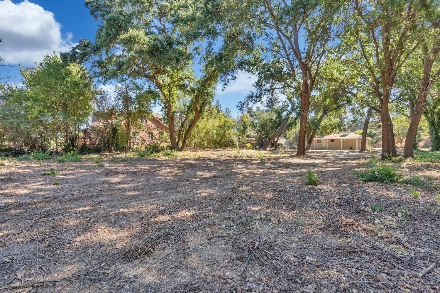 5720 Riverside Boulevard Sacramento, CA 95822 - Photo 19 of 54 a view of outdoor space with trees