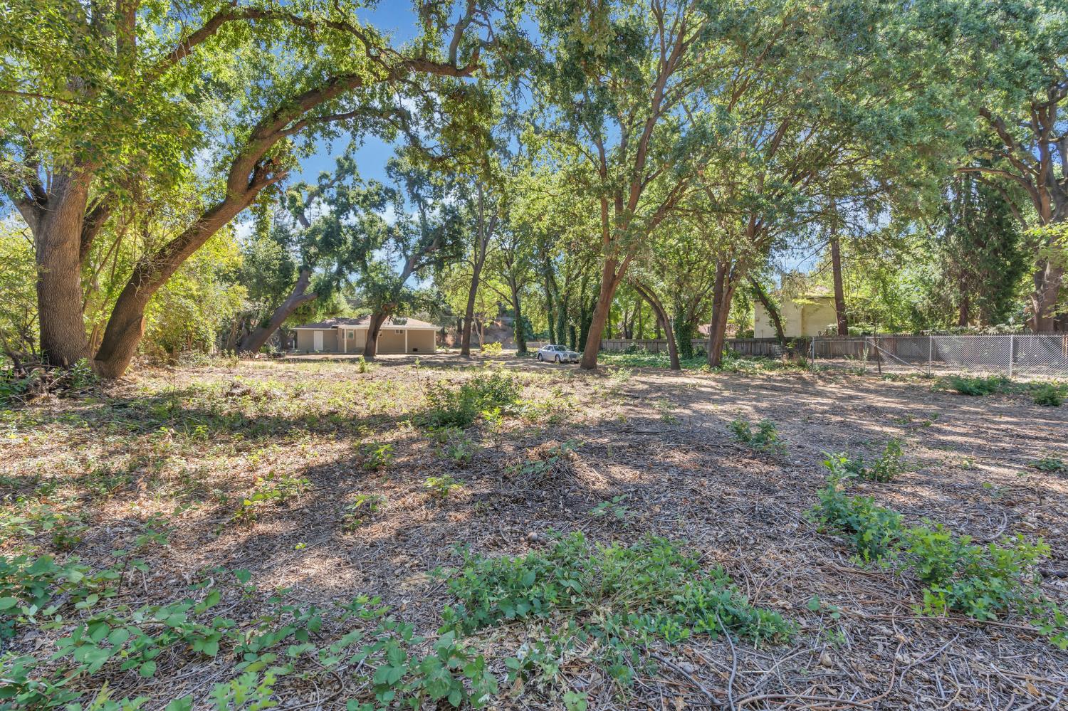 5720 Riverside Boulevard Sacramento, CA 95822 - Photo 20 of 54 a view of dirt yard with a trees