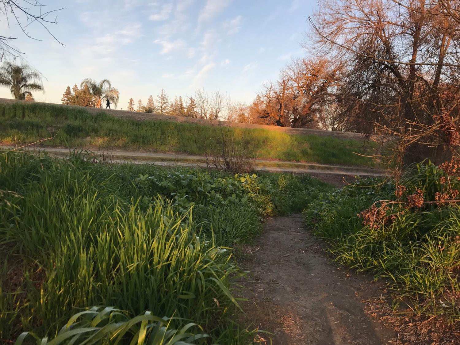 5720 Riverside Boulevard Sacramento, CA 95822 - Photo 51 of 54 a view of a lake with a yard