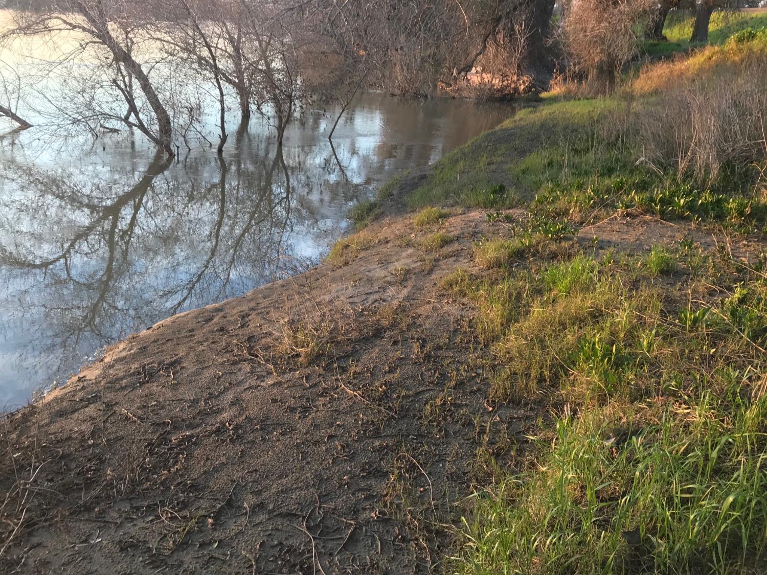 5720 Riverside Boulevard Sacramento, CA 95822 - Photo 54 of 54 a view of a yard with plants and trees
