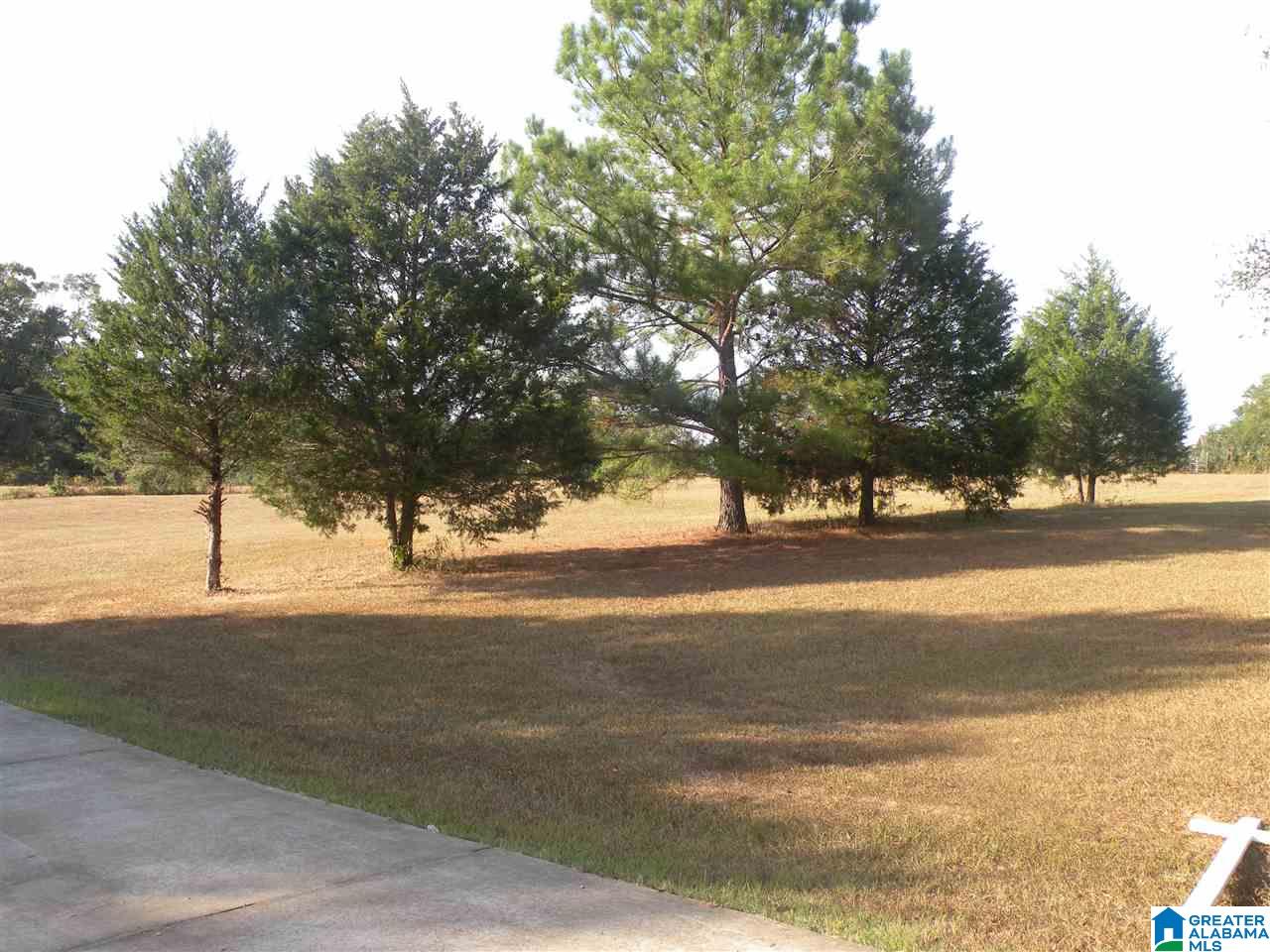 390 Five Oaks Lane Alpine, AL 35014 - Photo 29 of 29