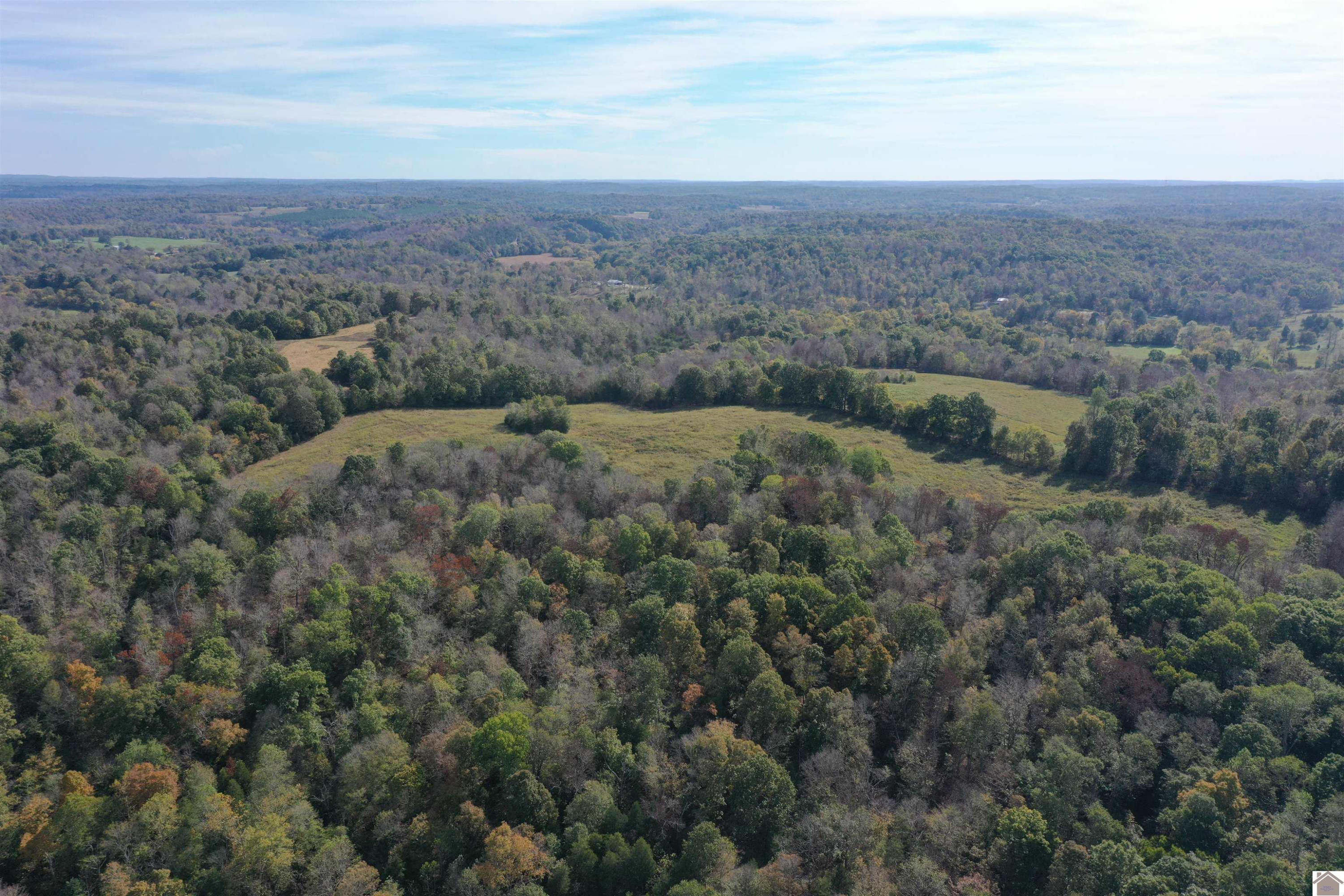 0 Princeton Olney Road, Unit FARM 3 Princeton, KY 42445 - Photo 2 of 9 Photo 2