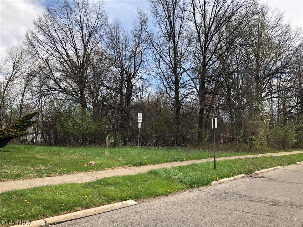 13525 Carpenter Road Garfield Heights, OH 44125 - Photo 19 of 19