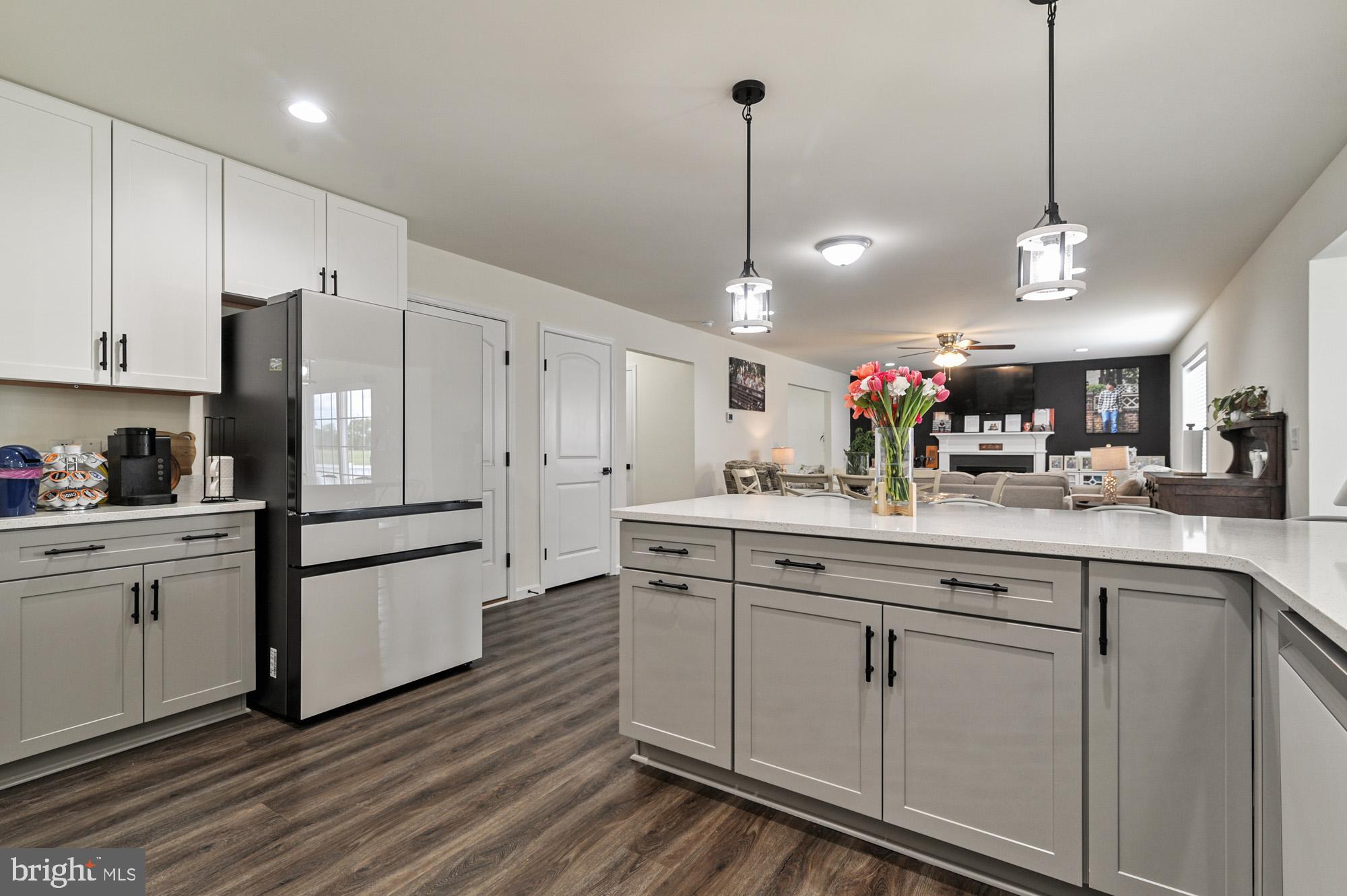 150 Cilento Drive Magnolia, DE 19962 - Photo 16 of 26 Kitchen