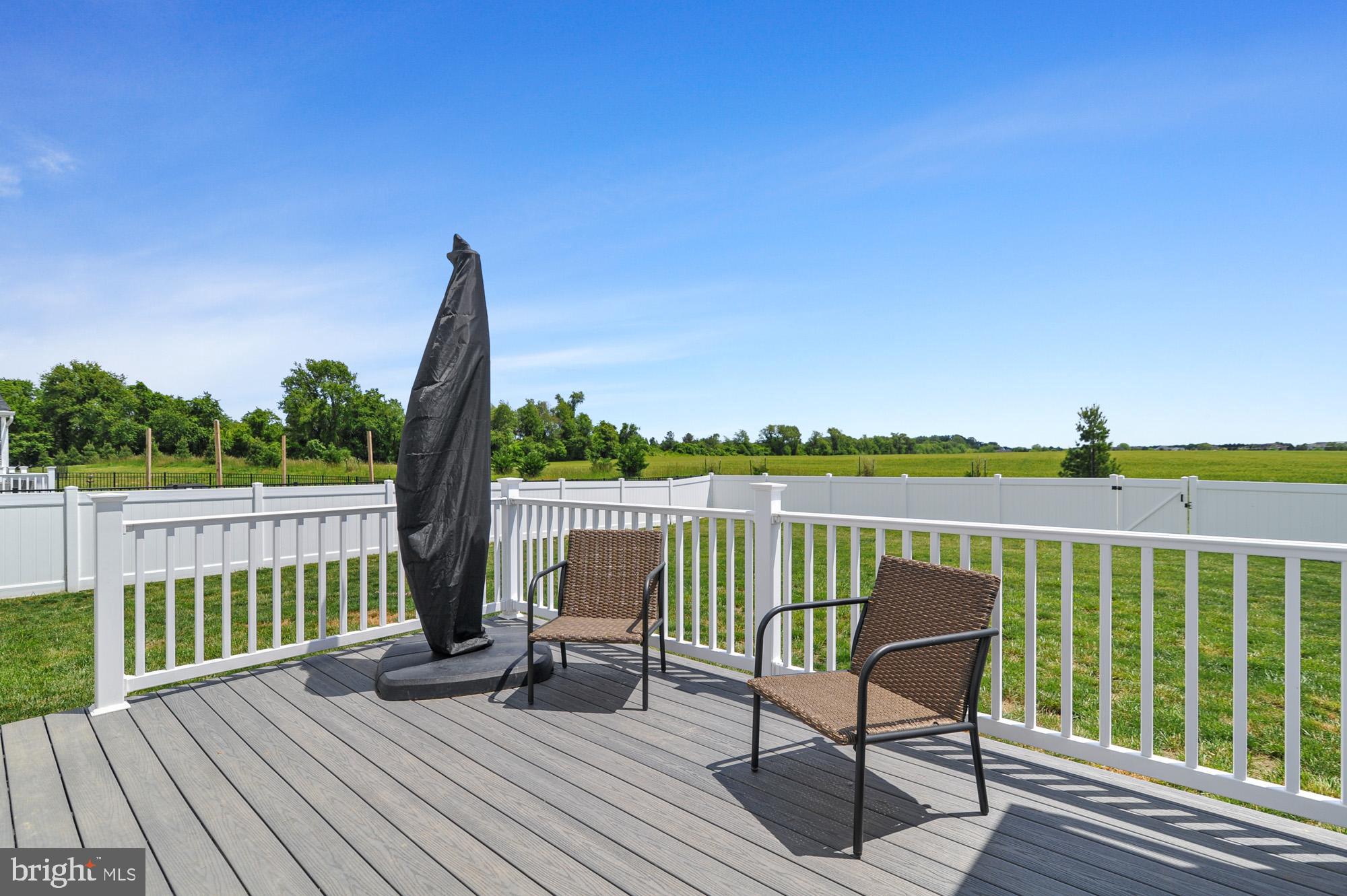 150 Cilento Drive Magnolia, DE 19962 - Photo 24 of 26 Large Deck