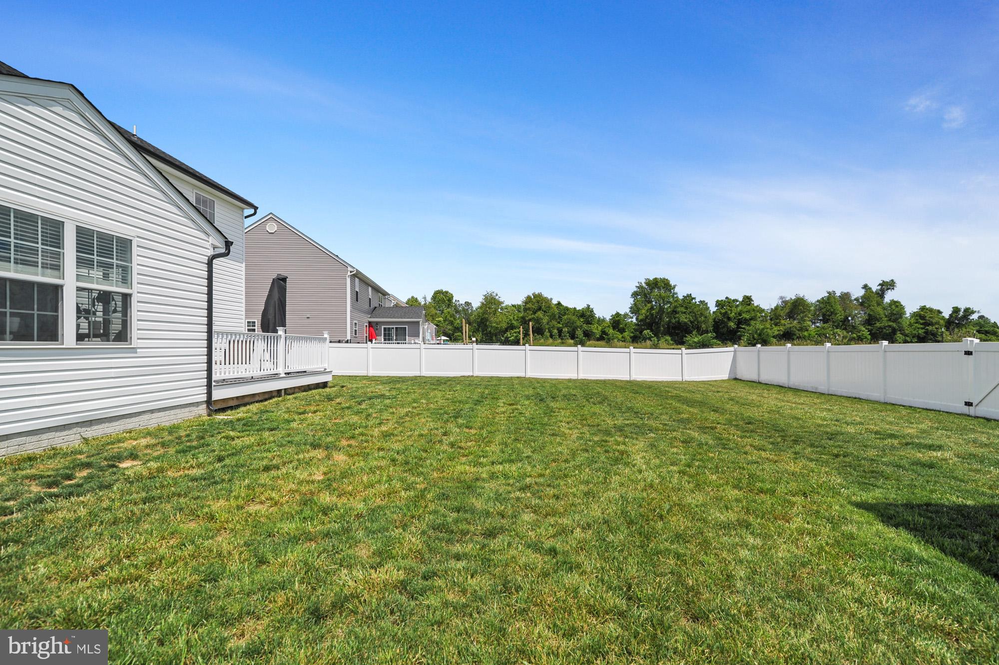 150 Cilento Drive Magnolia, DE 19962 - Photo 26 of 26 Fenced in Backyard