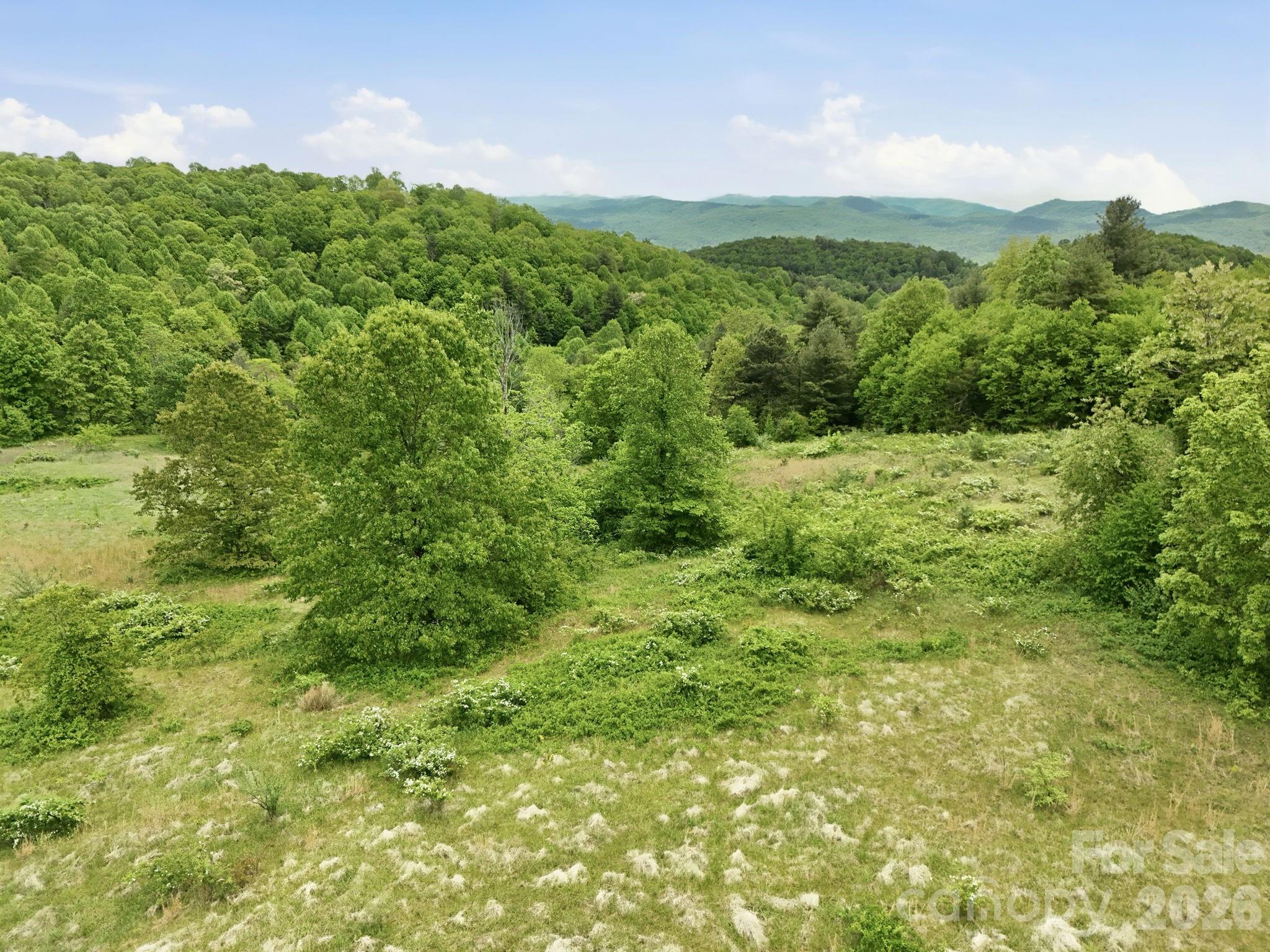 4105 Pinnacle Mountain Road Zirconia, NC 28790 - Photo 21 of 23 a view of a lush green forest with lush green forest