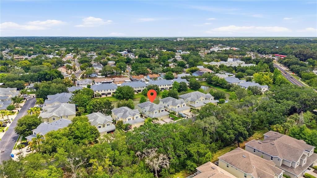 497 Harbor Ridge Drive Palm Harbor, FL 34683 - Photo 52 of 52
