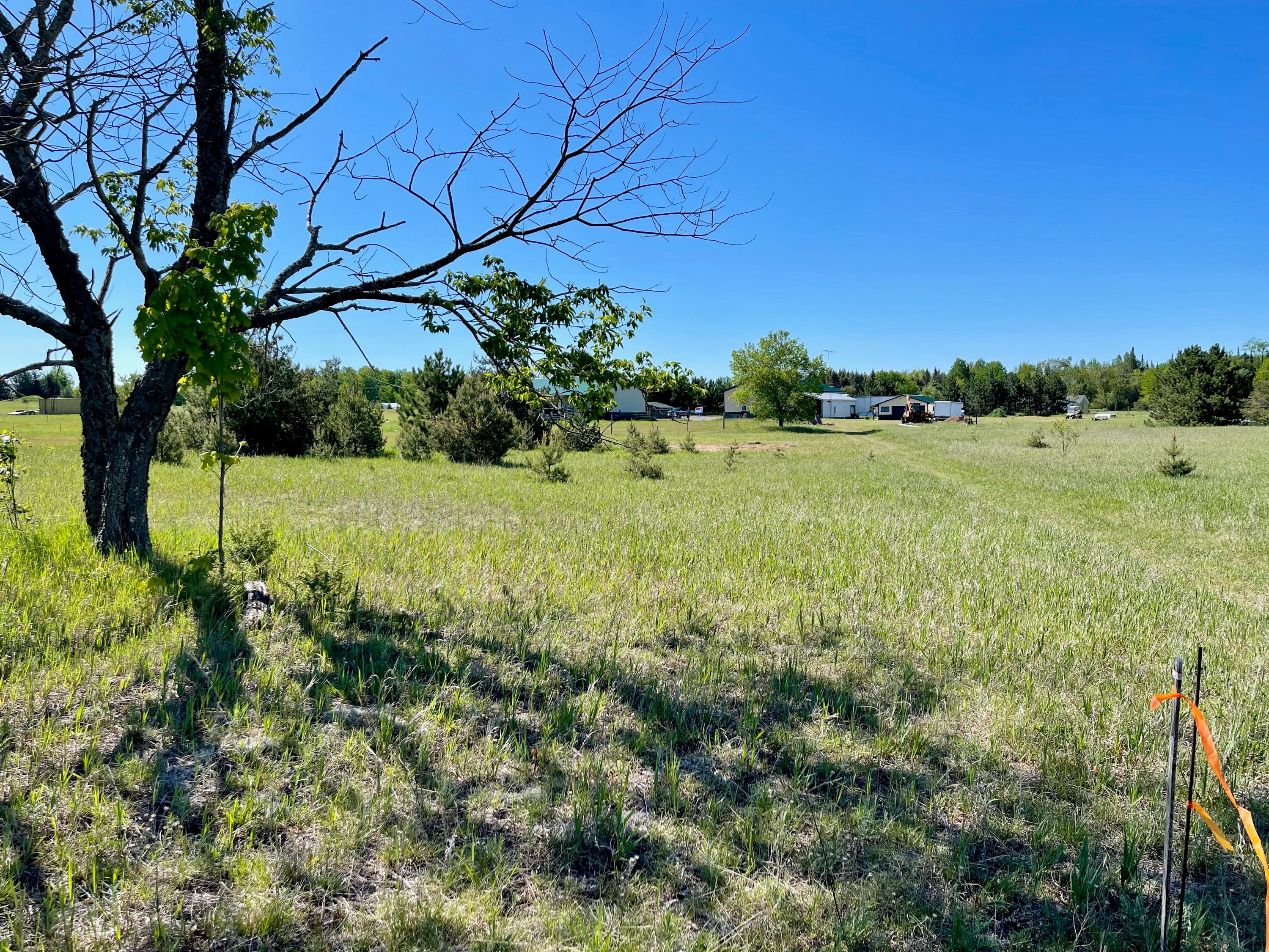 442 East Alexander Road Vanderbilt, MI 49795 - Photo 70 of 72 Gallery Image 70