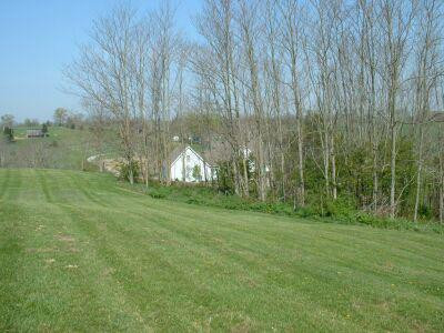 1108 White Oak Road Stamping Ground, KY 40379 - Photo 17 of 18 Trees for shade and summertime enjoyment