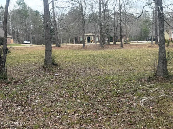 $55,000 | Lot 32 Brookwood Terrace, Hattiesburg, MS 39402