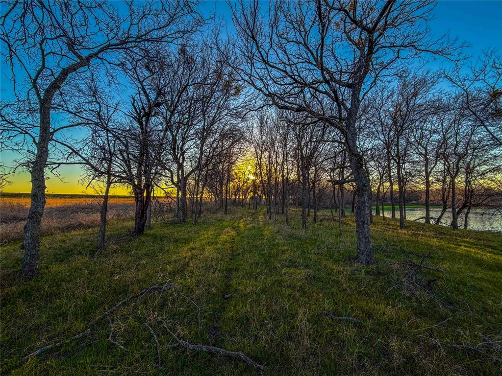 Tbd Round Hall Road Holland, TX 76534 - Photo 20 of 33 a big yard with lots of green space and trees