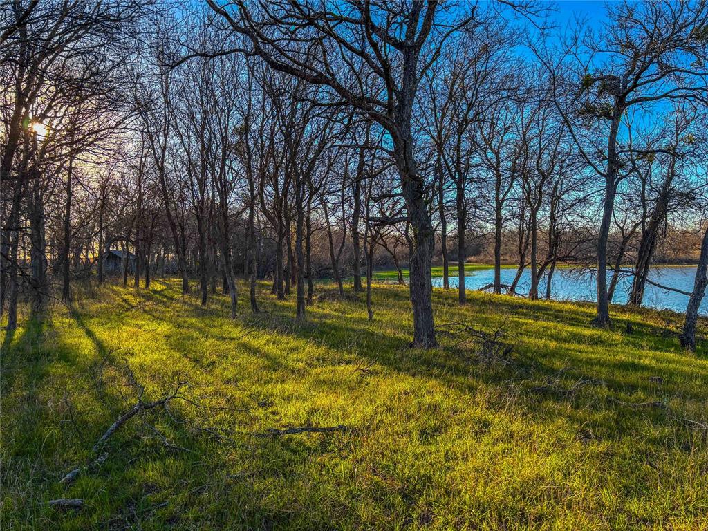 Tbd Round Hall Road Holland, TX 76534 - Photo 22 of 33 a view of a yard with a tree