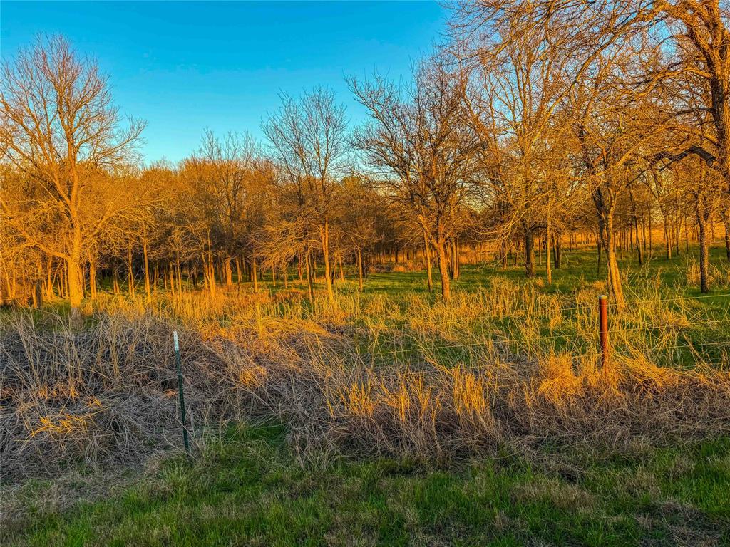 Tbd Round Hall Road Holland, TX 76534 - Photo 30 of 33 a view of yard with green space