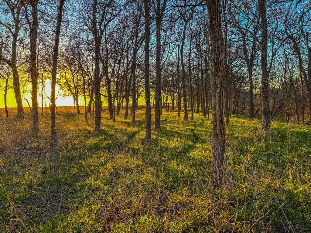 Tbd Round Hall Road Holland, TX 76534 - Photo 4 of 33 a view of yard with trees