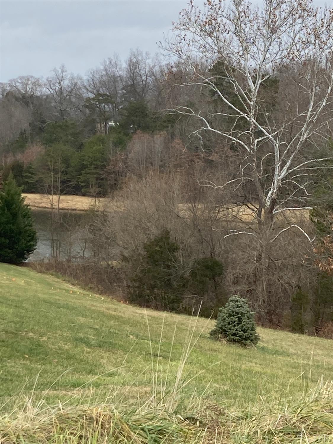 11 Bellevue Road Goode, VA 24556 - Photo 2 of 4 a view of a yard