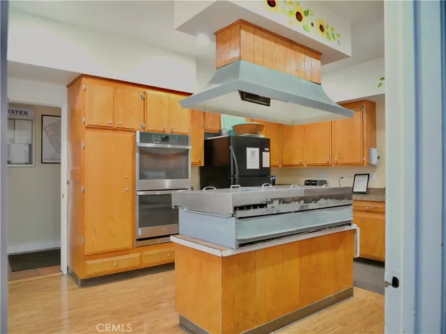 a park with lots of palm trees