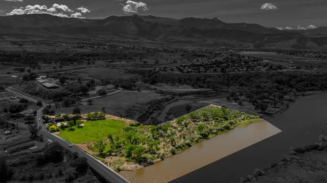 a view of a yard with wooden fence