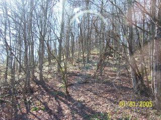 5486 Rough Creek Road London, KY 40744 - Photo 6 of 7 Photo 6