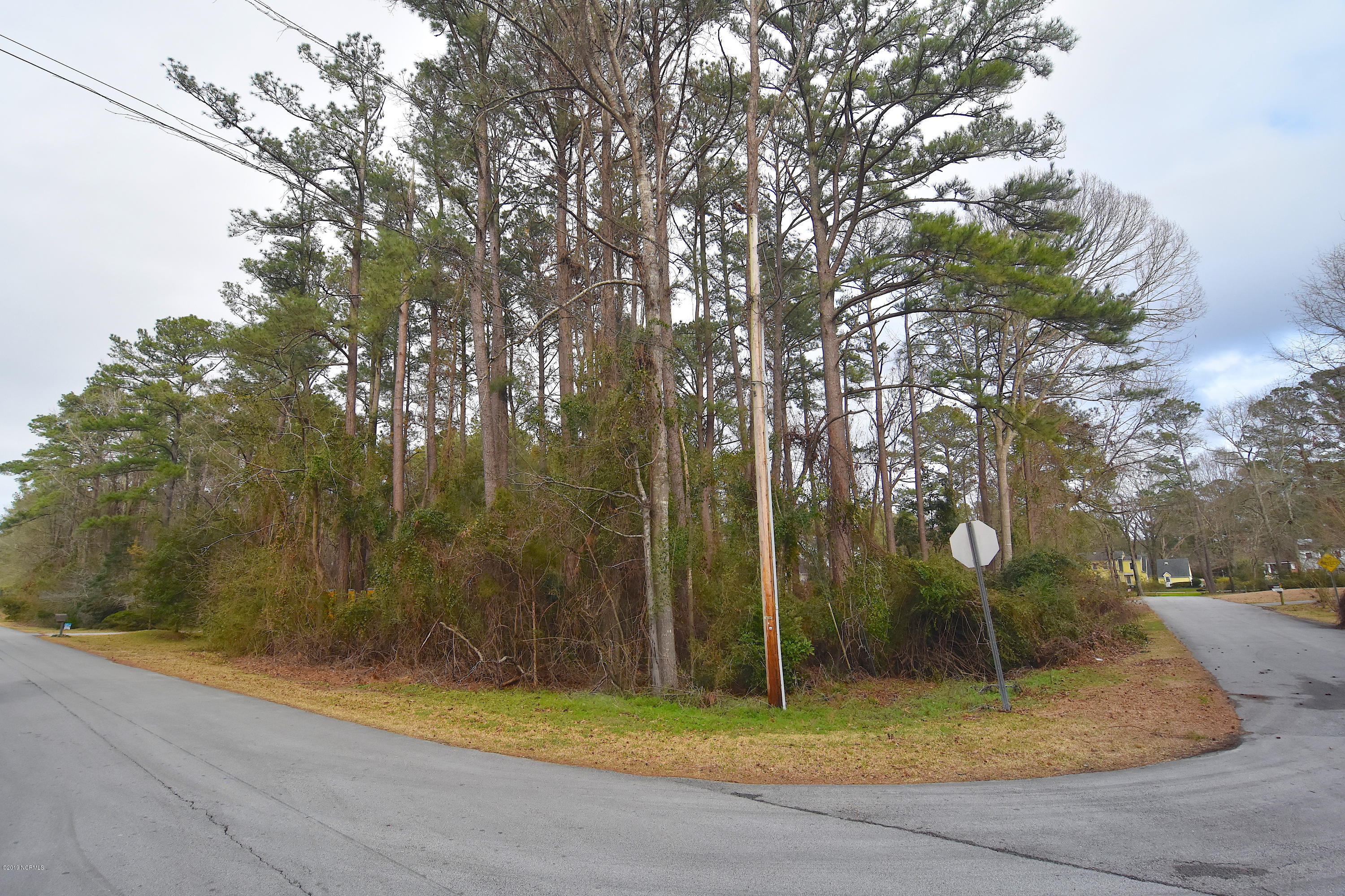 8 Hawthorne Road New Bern, NC 28562 - Photo 1 of 3 Lot Photo