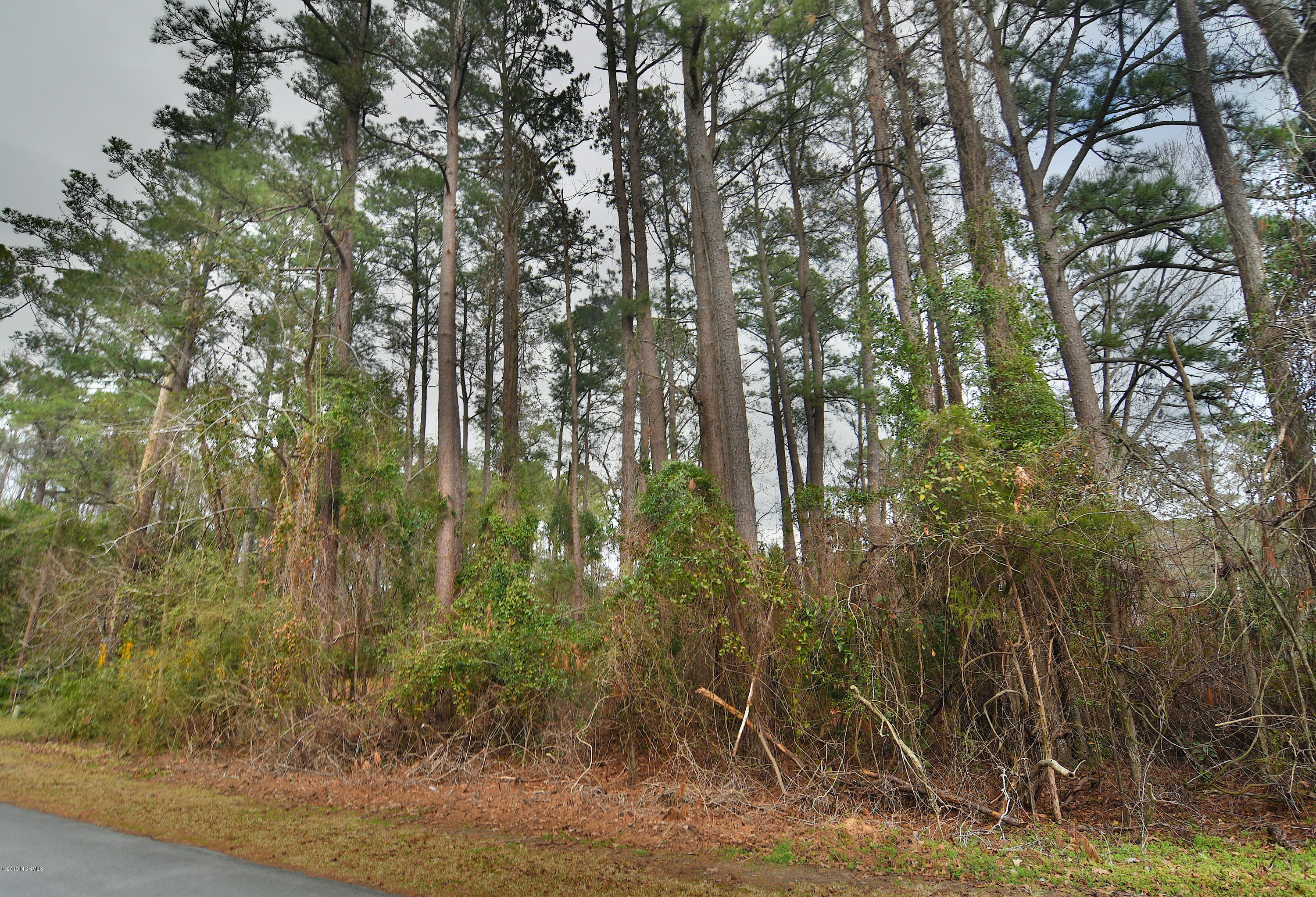8 Hawthorne Road New Bern, NC 28562 - Photo 2 of 3 Lot Photo