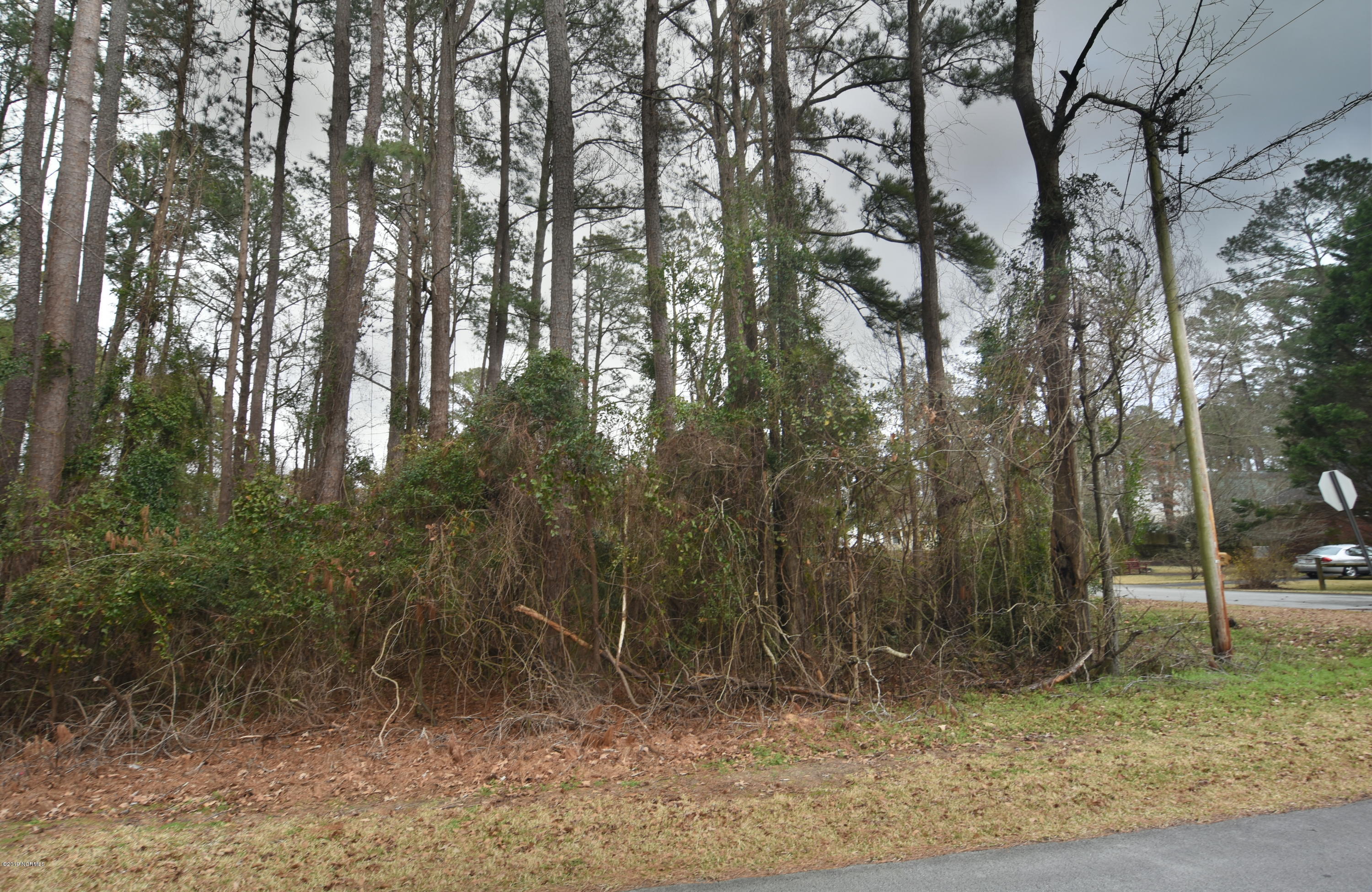 8 Hawthorne Road New Bern, NC 28562 - Photo 3 of 3 Lot Photo