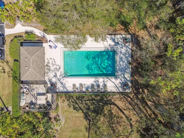 a view of a yard with plants