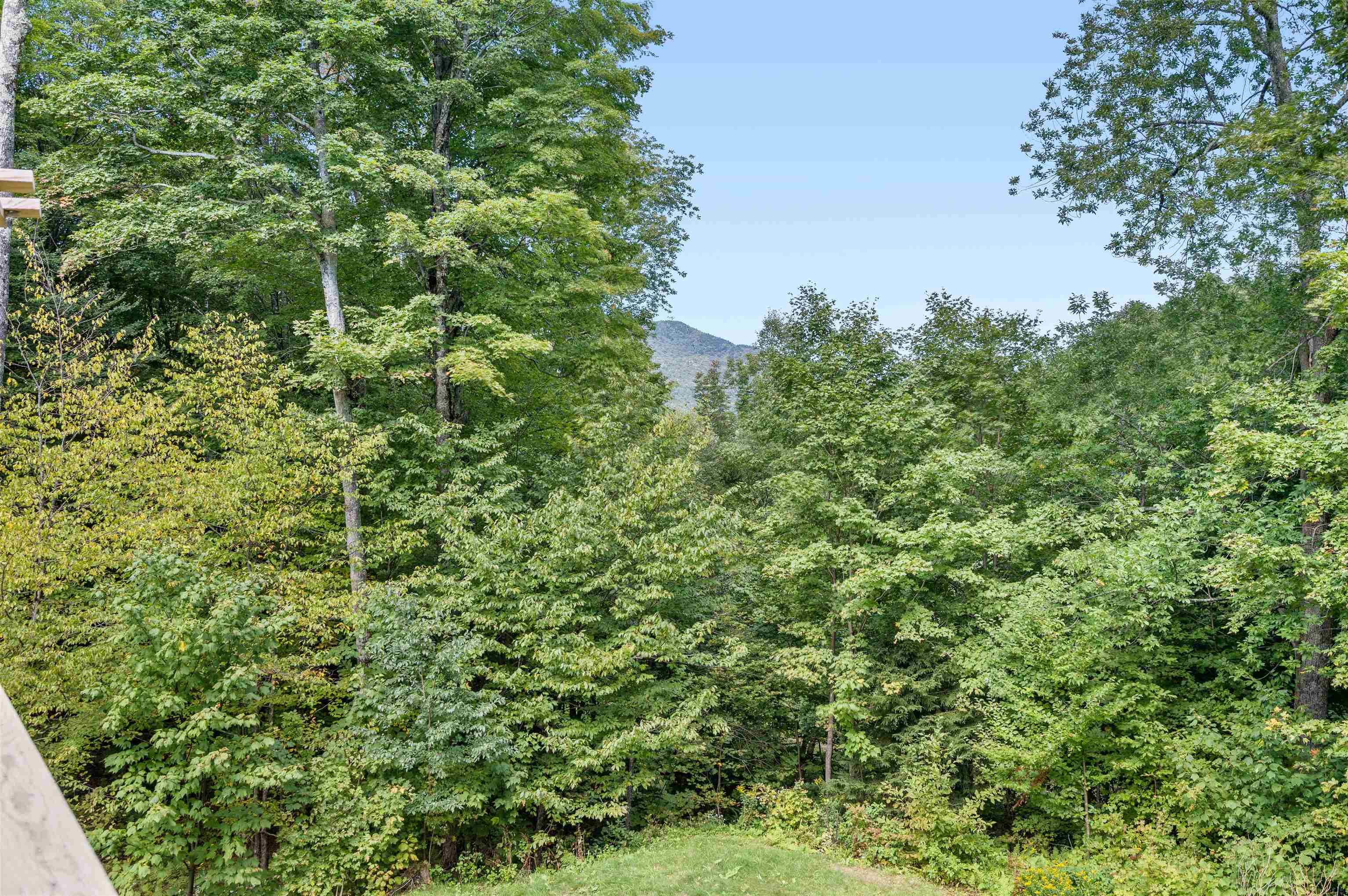 158 Sugar Ledge Road Warren, VT 05674 - Photo 14 of 49 Gallery Image 14