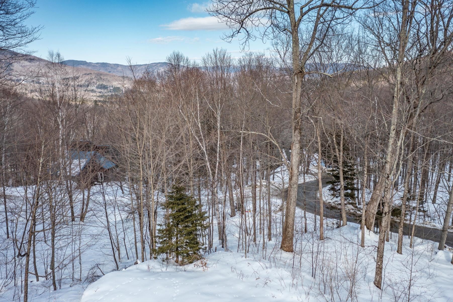 158 Sugar Ledge Road Warren, VT 05674 - Photo 47 of 49 Gallery Image 47