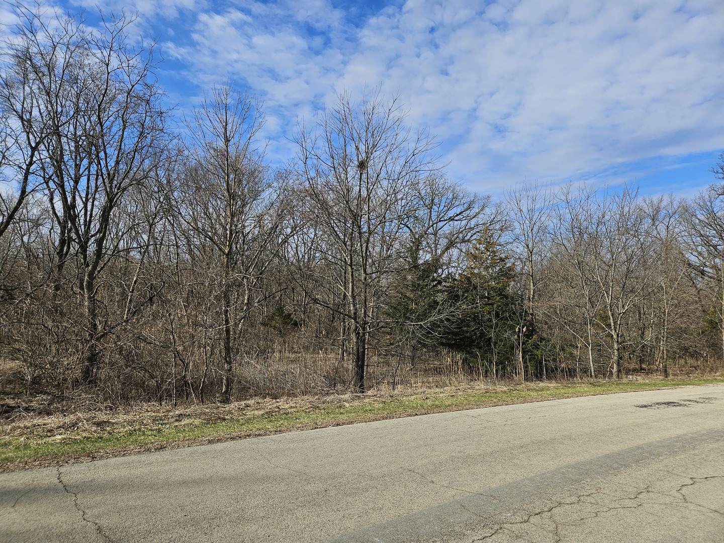 2616 3689th Road Sheridan, IL 60551 - Photo 1 of 5 a view of a yard with a house