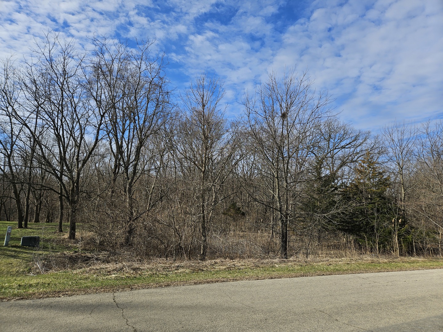 2616 3689th Road Sheridan, IL 60551 - Photo 2 of 5 a view of street along with trees