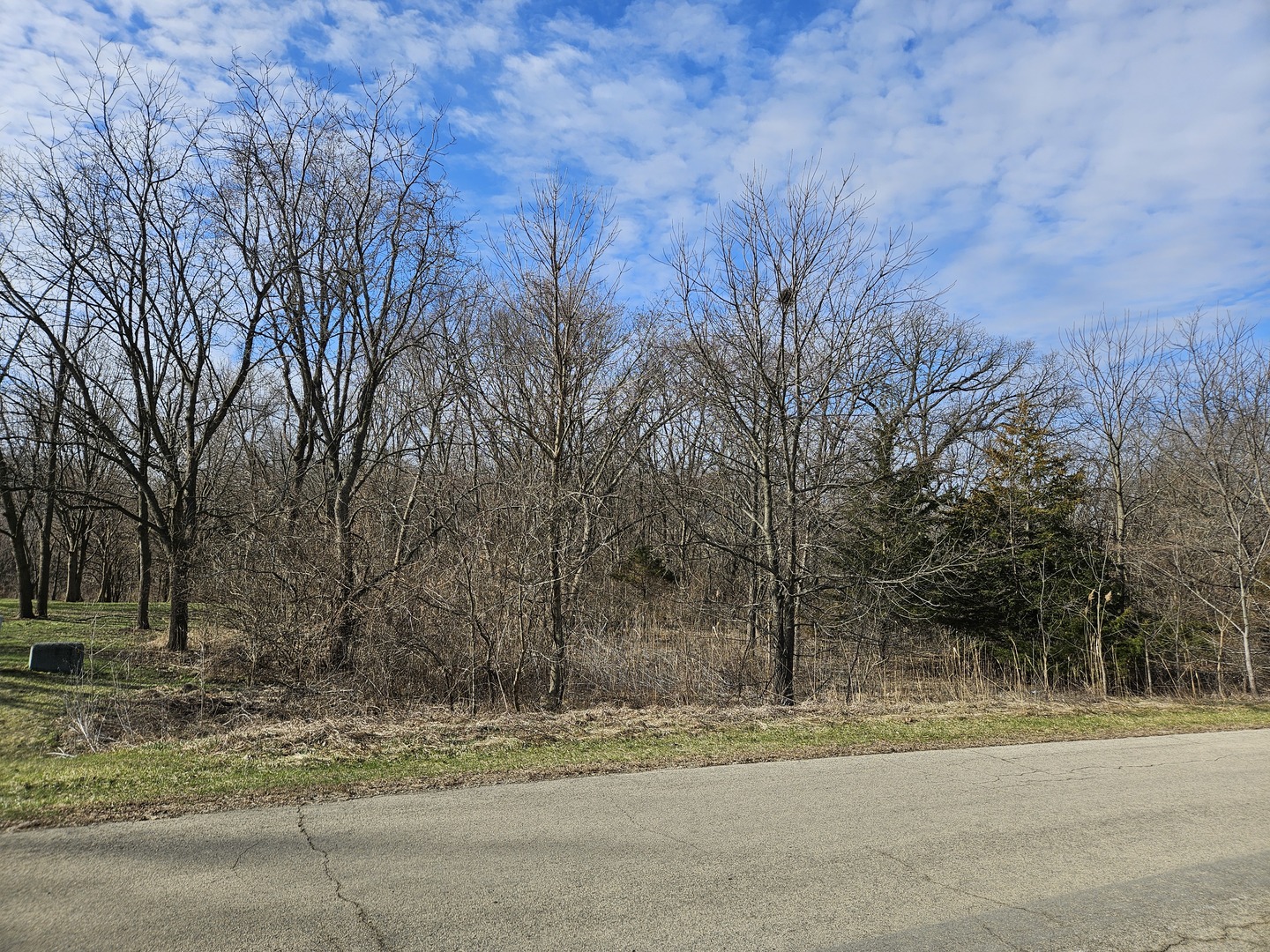 2616 3689th Road Sheridan, IL 60551 - Photo 3 of 5 a view of a yard with a trees