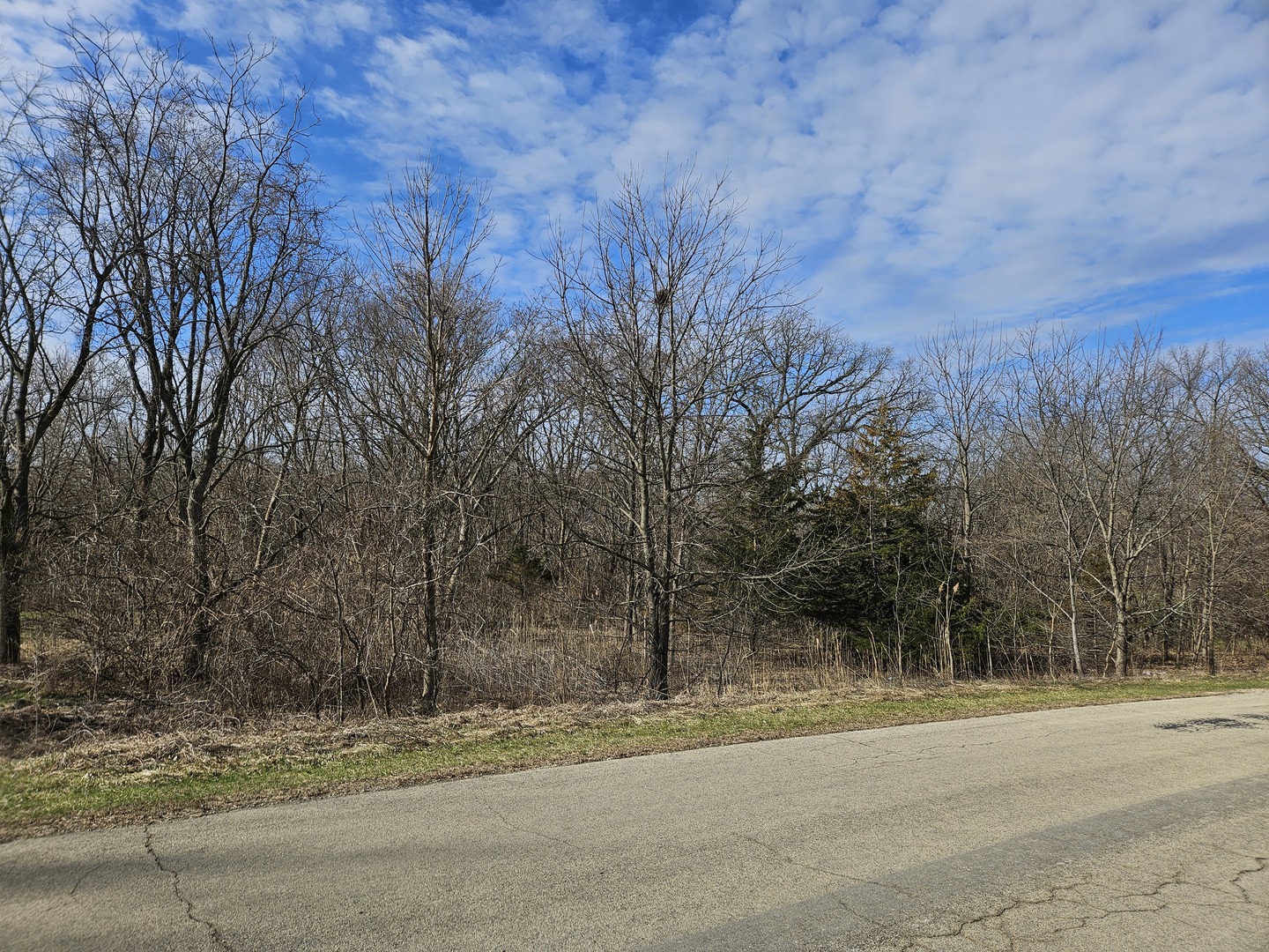 2616 3689th Road Sheridan, IL 60551 - Photo 4 of 5 a view of a yard with large trees