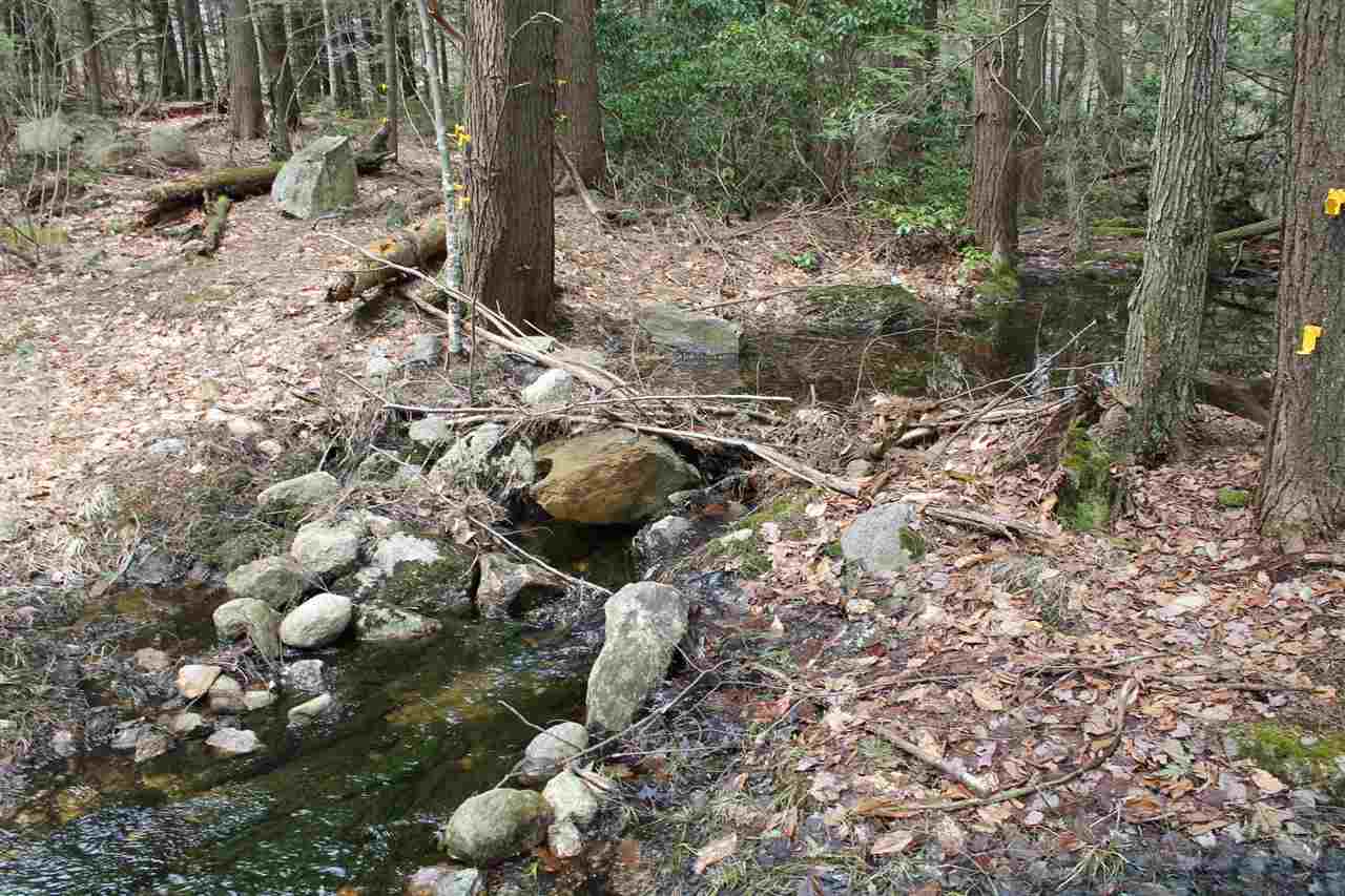 310 North Road Temple, NH 03084 - Photo 7 of 10