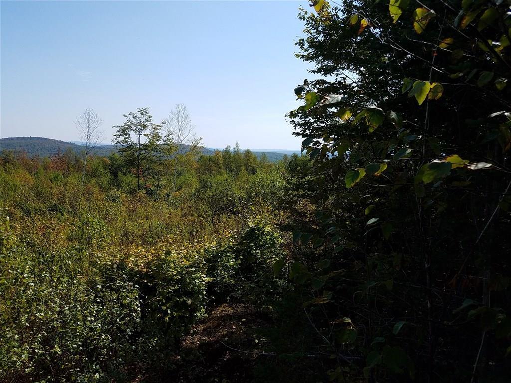 Lot 24 Tower Road Lincoln, MA 01773 - Photo 7 of 7 views of the mountains