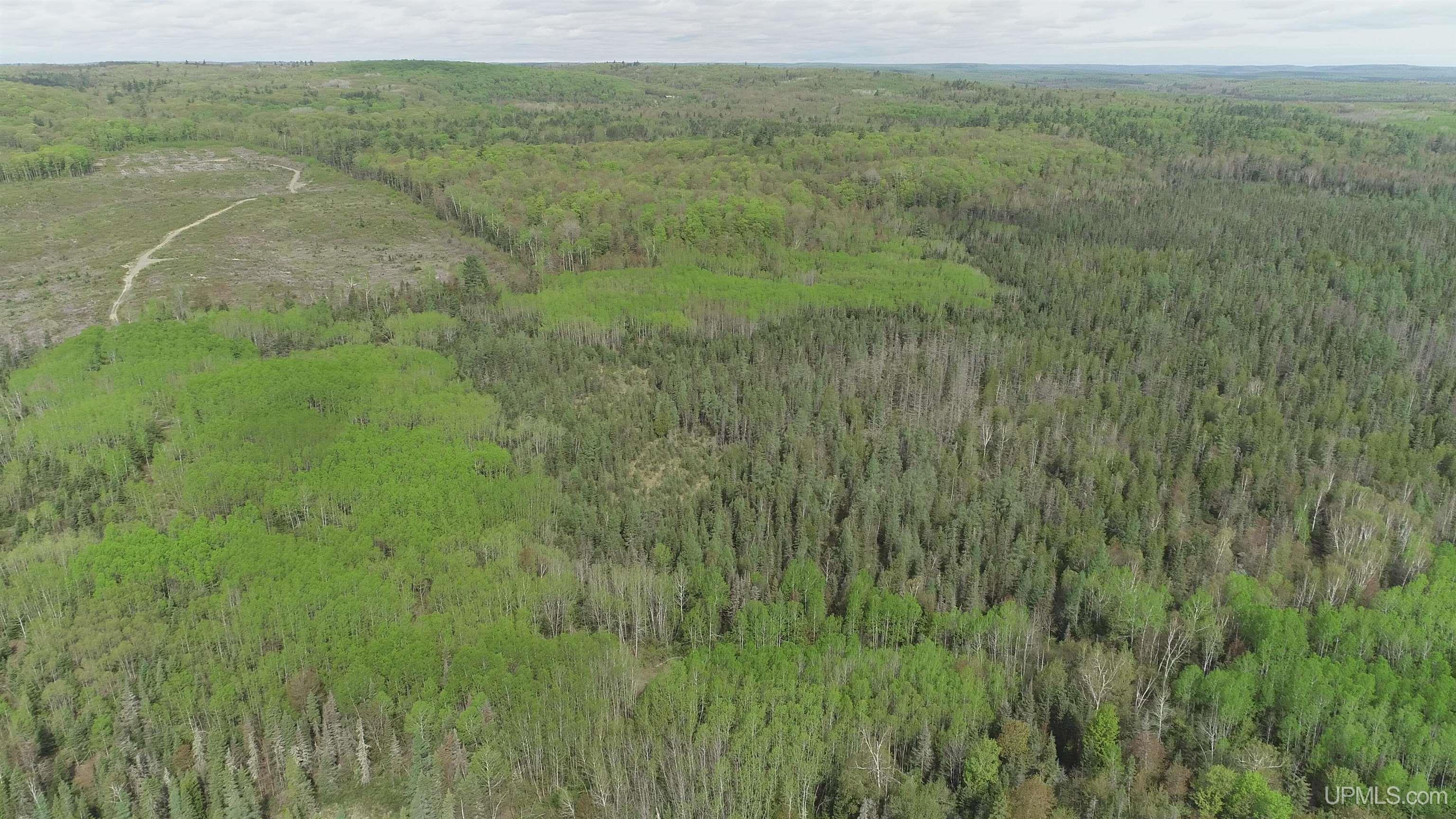 280-acres County Road CCN Road Negaunee, MI 49866 - Photo 27 of 48