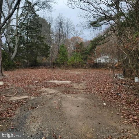 a view of a yard with trees
