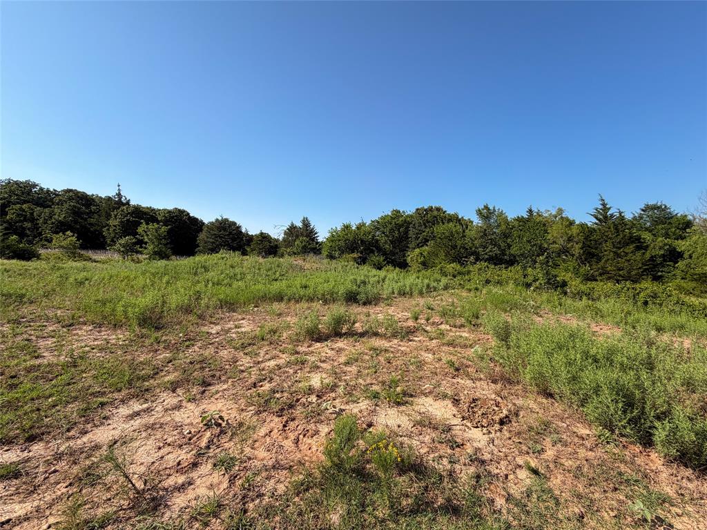 Tbd Carminati Road Montague, TX 76251 - Photo 20 of 32