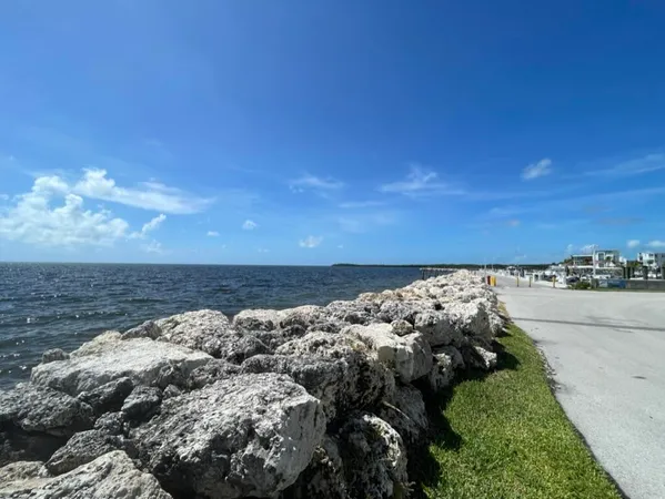a view of a garden with a slide