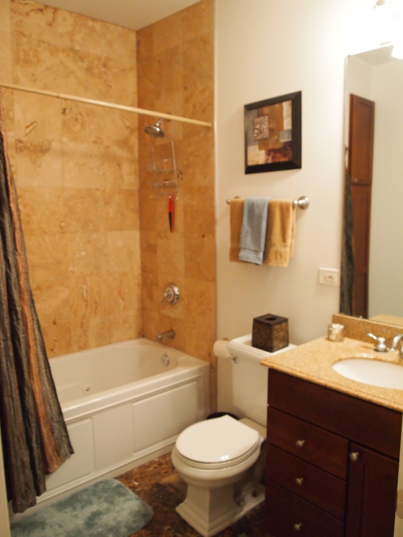 1330 West Roscoe Street, Unit 2 Chicago, IL 60657 - Photo 6 of 11 a bathroom with a toilet a sink and bathtub