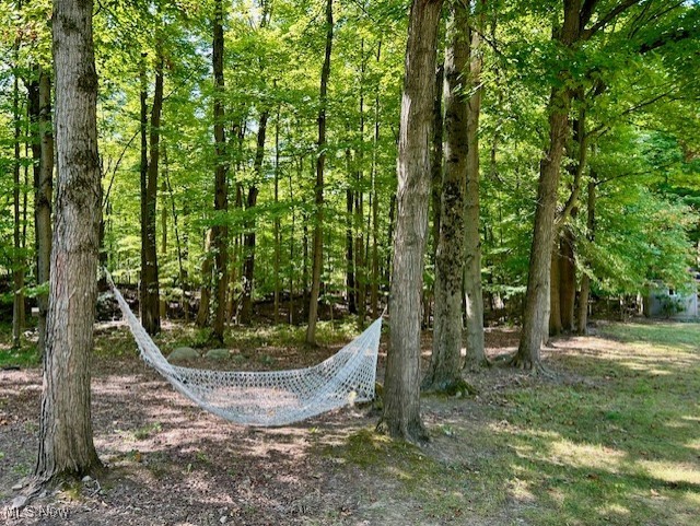 3422 Southern Road Richfield, OH 44286 - Photo 4 of 42 Relax on the hammock reading your favorite book