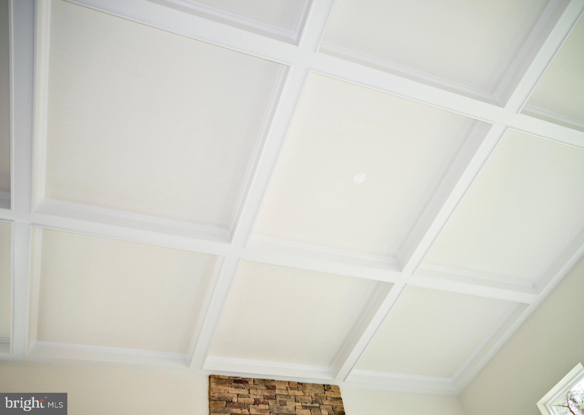 Interior Ceiling Detail