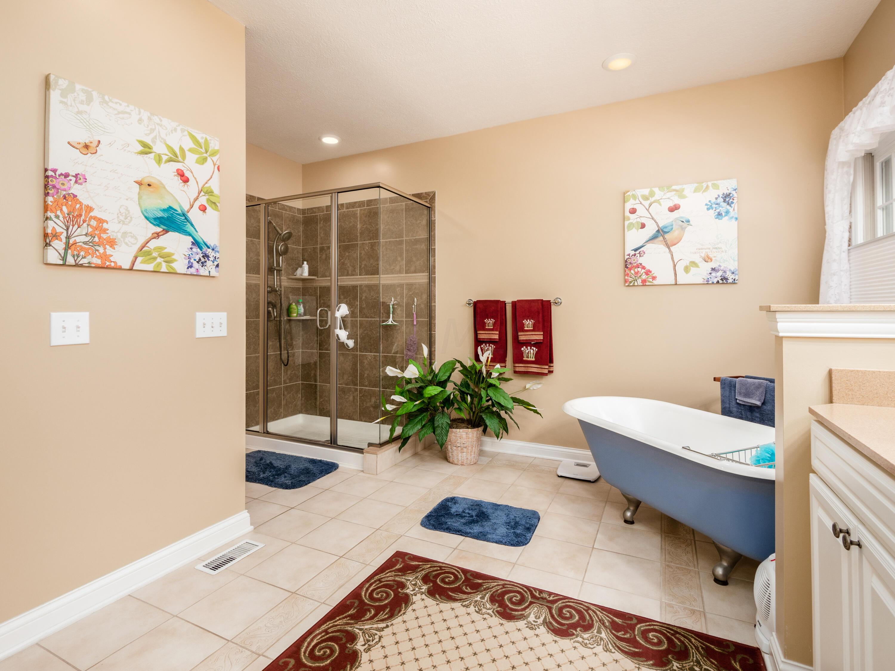 12344 Gorsuch Road Galena, OH 43021 - Photo 30 of 47 Bath Tub & Shower