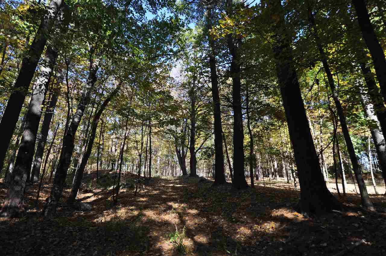 North Pepperell Road Hollis, NH 03049 - Photo 8 of 11