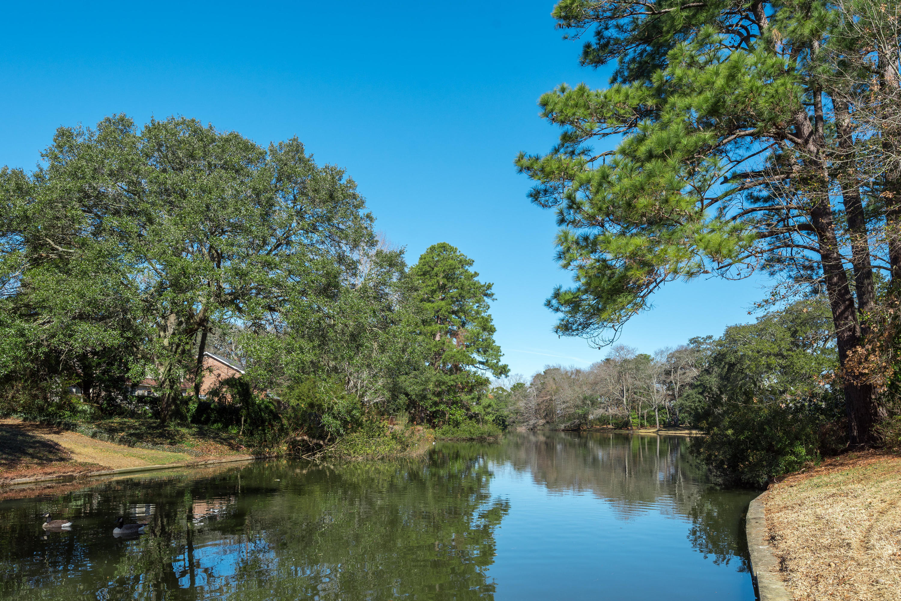 55 Shrewsbury Road Charleston, SC 29407 - Photo 48 of 50 55ShrewsburyRoad-49