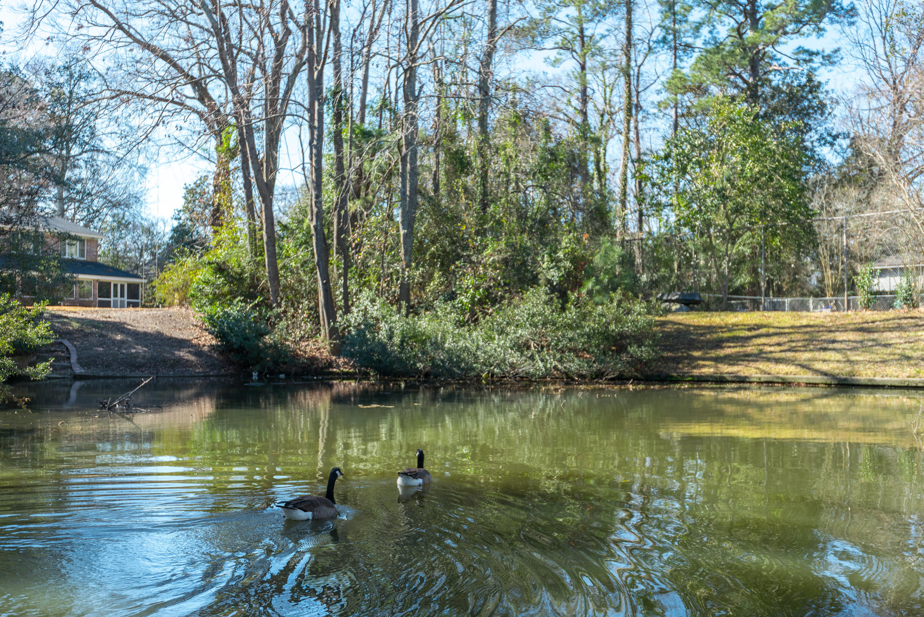 55 Shrewsbury Road Charleston, SC 29407 - Photo 50 of 50 55ShrewsburyRoad-51