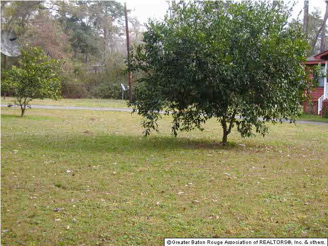 24242 Hoo Shoo Too Road Baton Rouge, LA 70817 - Photo 3 of 11 Gallery Image 3
