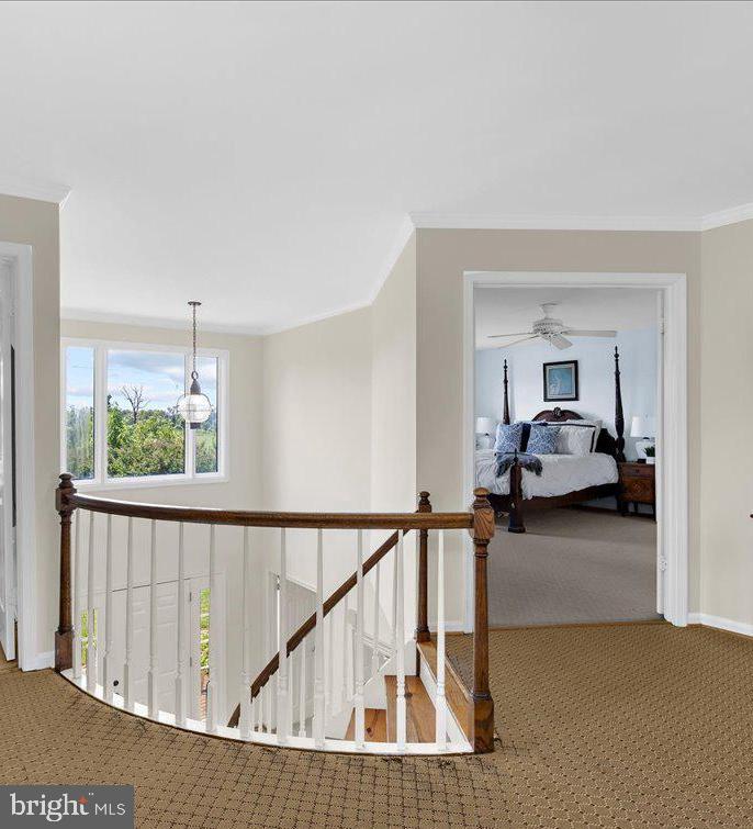 1877 Cherry Road Annapolis, MD 21409 - Photo 16 of 65 Beautiful Curved Staircase