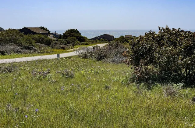 a view of a lush green space with sea